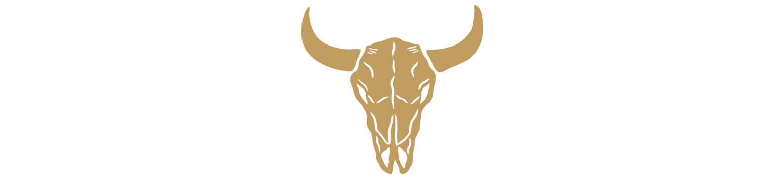 The American Performance Horseman | Teton Ridge