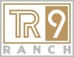 TR9_RANCH_VECTOR-LOGO_BOXED_GOLD-SILVER